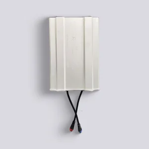 DF1600 12V Lithium Battery