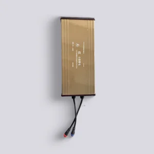 XF320 12V Lithium Battery